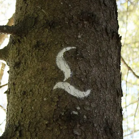 Haus-ruitelspitzblick Lägenhet Elbigenalp