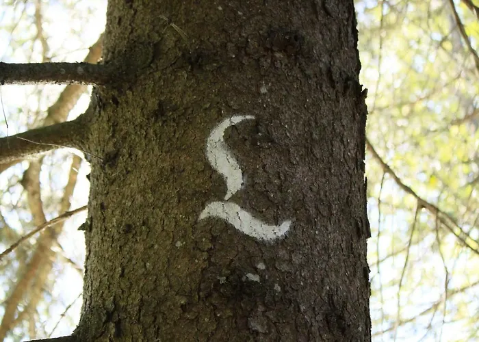 Haus-ruitelspitzblick 公寓 埃尔比格纳尔普